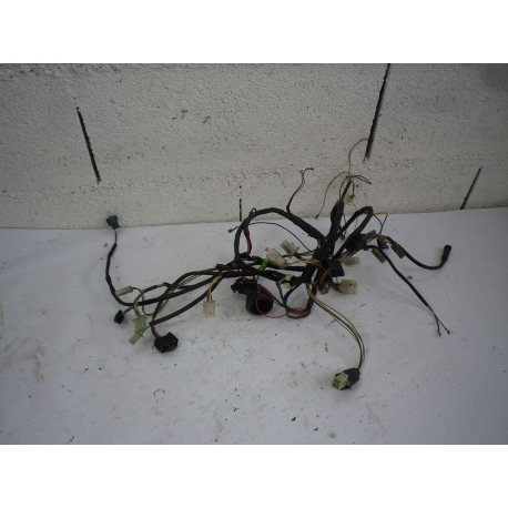 FAISCEAU - PEUGEOT VIVACITY