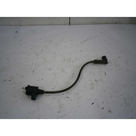 BOBINE - PEUGEOT VIVACITY