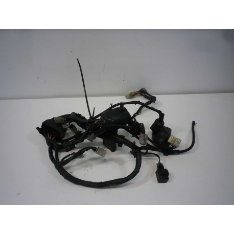 FAISCEAU - YAMAHA TDM 850