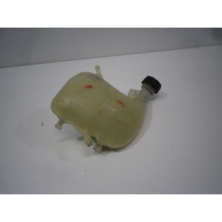 VASE EXPENSION - PIAGGIO NRG