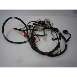 FAISCEAU - SYM FIDDLE 50