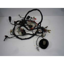 FAISCEAU - FURIOUS 50 SM GOLD