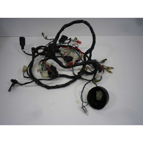 FAISCEAU - FURIOUS 50 SM GOLD