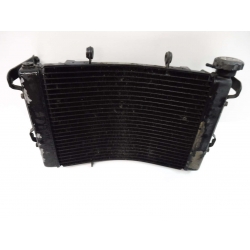 RADIATEUR - TRIUMPH STREET TRIPLE 675