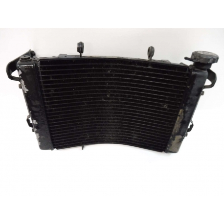 RADIATEUR - TRIUMPH STREET TRIPLE 675