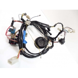 FAISCEAU - PEUGEOT LUDIX