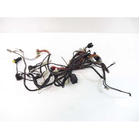 FAISSEAU COMPLET  - DERBI GPR