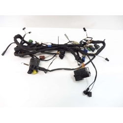 FAISCEAU - SUZUKI 600 BANDIT