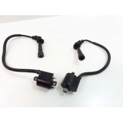 BOBINE - SUZUKI SVS SV 650