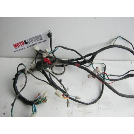 FAISCEAU ELECTRIQUE - RAZZO 50 2010