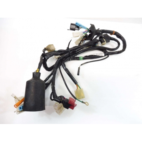 FAISCEAU - HONDA CBR 125 2006