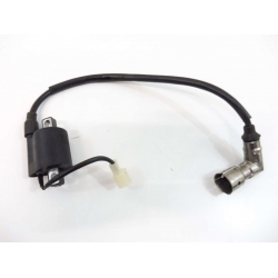 BOBINE - BAOTIAN STREETSTAR 50