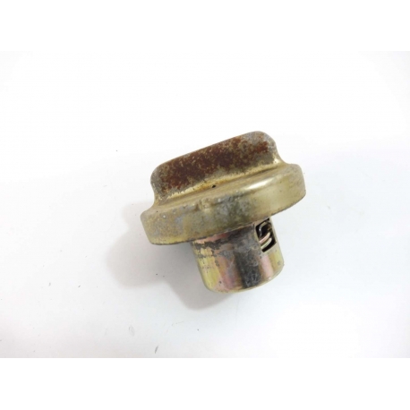 BOUCHON ESSENCE - VASTRO FURTIF 2015