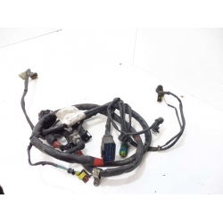 FAISCEAU - GILERA GP 800