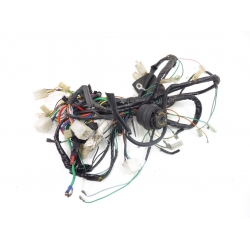 FAISCEAU - PEUGEOT SPEEDFIGHT