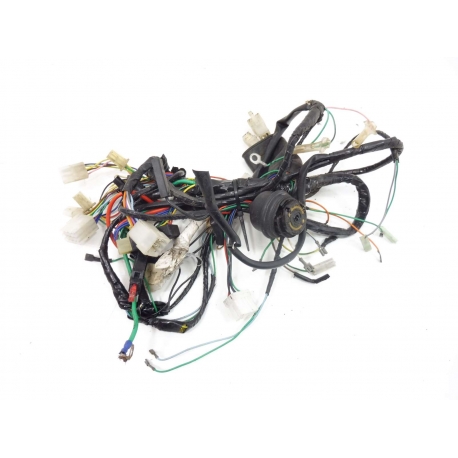 FAISCEAU - PEUGEOT SPEEDFIGHT