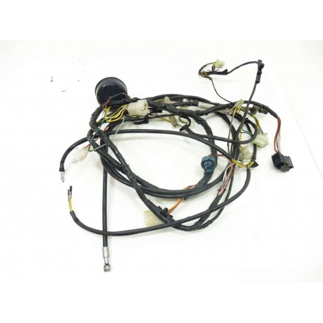 FAISCEAU - PEUGEOT LUDIX