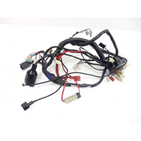 FAISCEAU - KEEWAY RY6