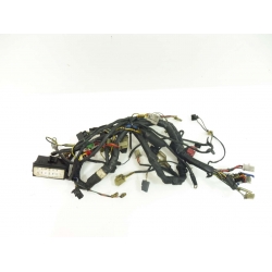 FAISCEAU - KAWASAKI ER5