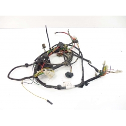 FAISCEAU - PEUGEOT LUDIX