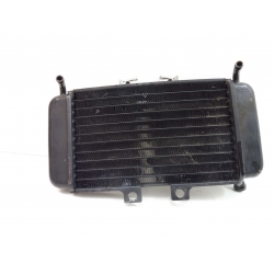 RADIATEUR - PIAGGIO NRG