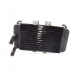 RADIATEUR - PIAGGIO NRG