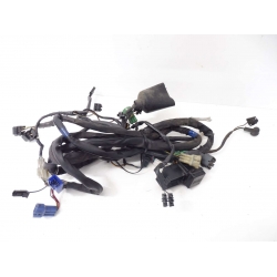 FAISCEAU - SUZUKI 600 BANDIT