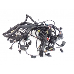 FAISCEAU - KAWASAKI Z1000SX