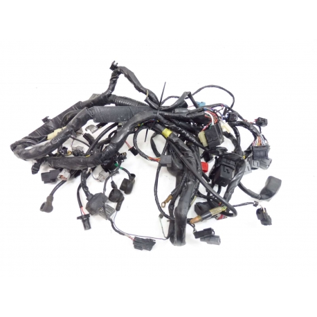 FAISCEAU - KAWASAKI Z1000SX