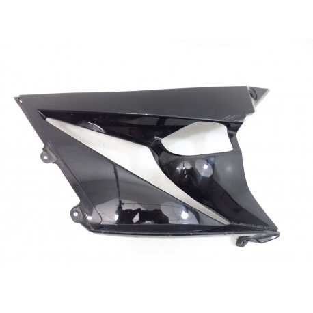 CARENAGE - KAWASAKI Z1000SX