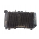 RADIATEUR - YAMAHA TDM 850
