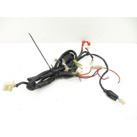 FAISCEAU - VASTRO  AS 125 RT