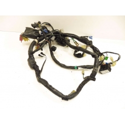 FAISCEAU - HONDA CBR XX