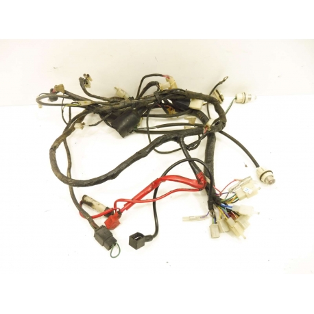 FAISCEAU - GENERIC RACE 50