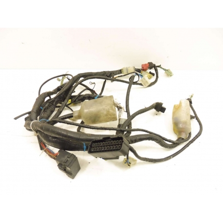 FAISCEAU - HONDA CBF 600