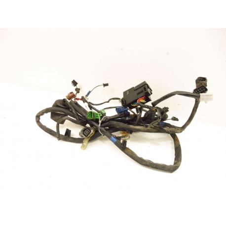 FAISCEAU - SUZUKI 1200 BANDIT