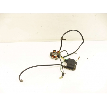 ALLUMAGE -  SHERCO ENDURO 2009