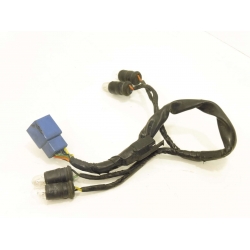 FAISCEAU -  SUZUKI GSE 500