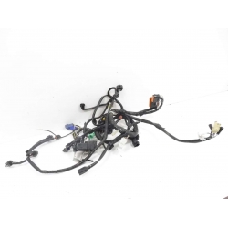 FAISCEAU - SUZUKI 650 BANDIT