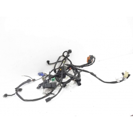 FAISCEAU - SUZUKI 650 BANDIT