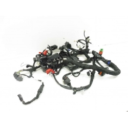 FAISCEAU - DUKE 125 2018