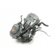 MOTEUR - DUKE 125 2018