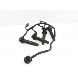 ANTI P -  YAMAHA YZF R6