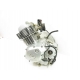MOTEUR - YAMAHA YBR 125 2007