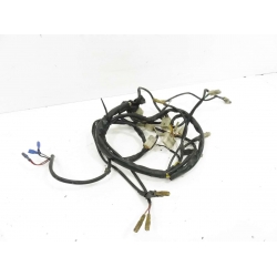 FAISCEAU - PEUGEOT XP6