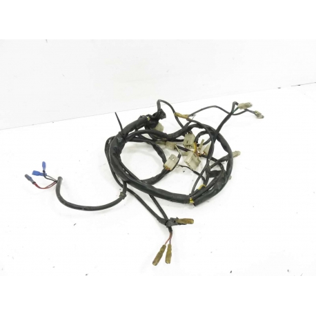 FAISCEAU - PEUGEOT XP6