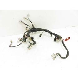 FAISCEAU - ROMA 50CC