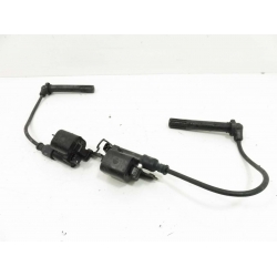 BOBINE - DUCATI MONSTER 821