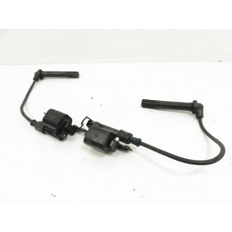 BOBINE - DUCATI MONSTER 821