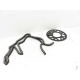 COURONNE+ CHAINE - DUCATI MONSTER 821